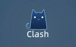 linux – 部署Clash+dashboard-简枫博客